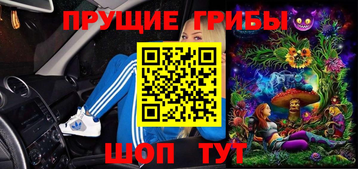 наркотики  Вход с VPN  Кемерово  Псилоцибиновые грибы GOLDEN TEACHER  Галлюциногенные грибы GOLDEN TEACHER 