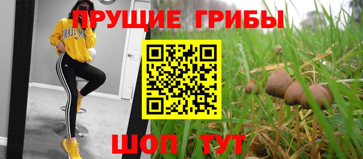 Псилоцибиновые грибы ЛСД Кемерово